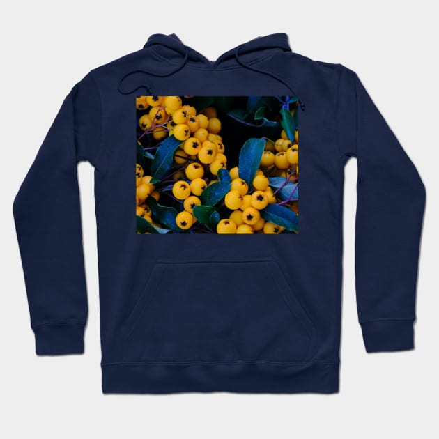 Yellow fruits Hoodie by daghlashassan